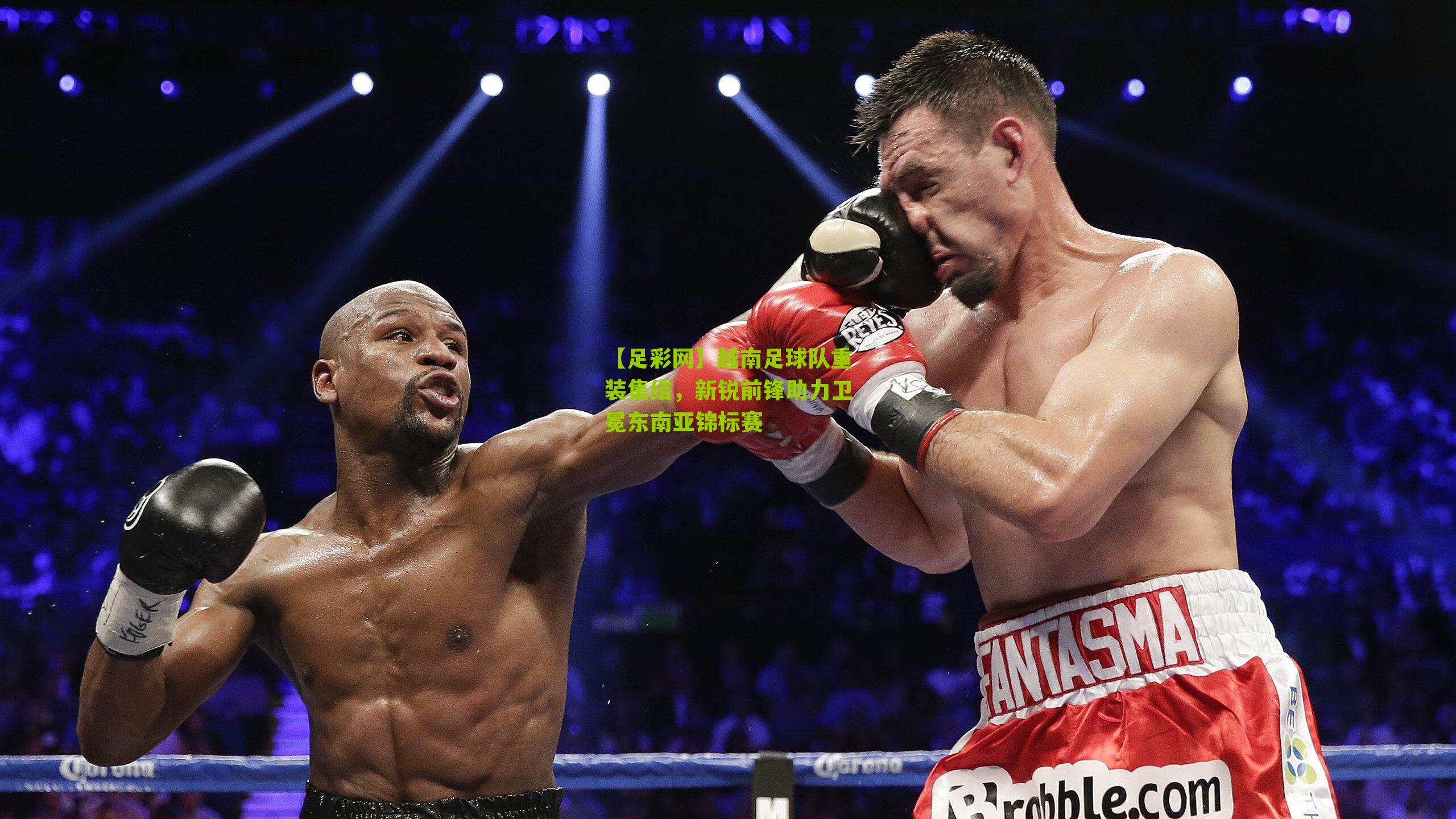 越南足球队重装集结,新锐前锋助力卫冕东南亚锦标赛