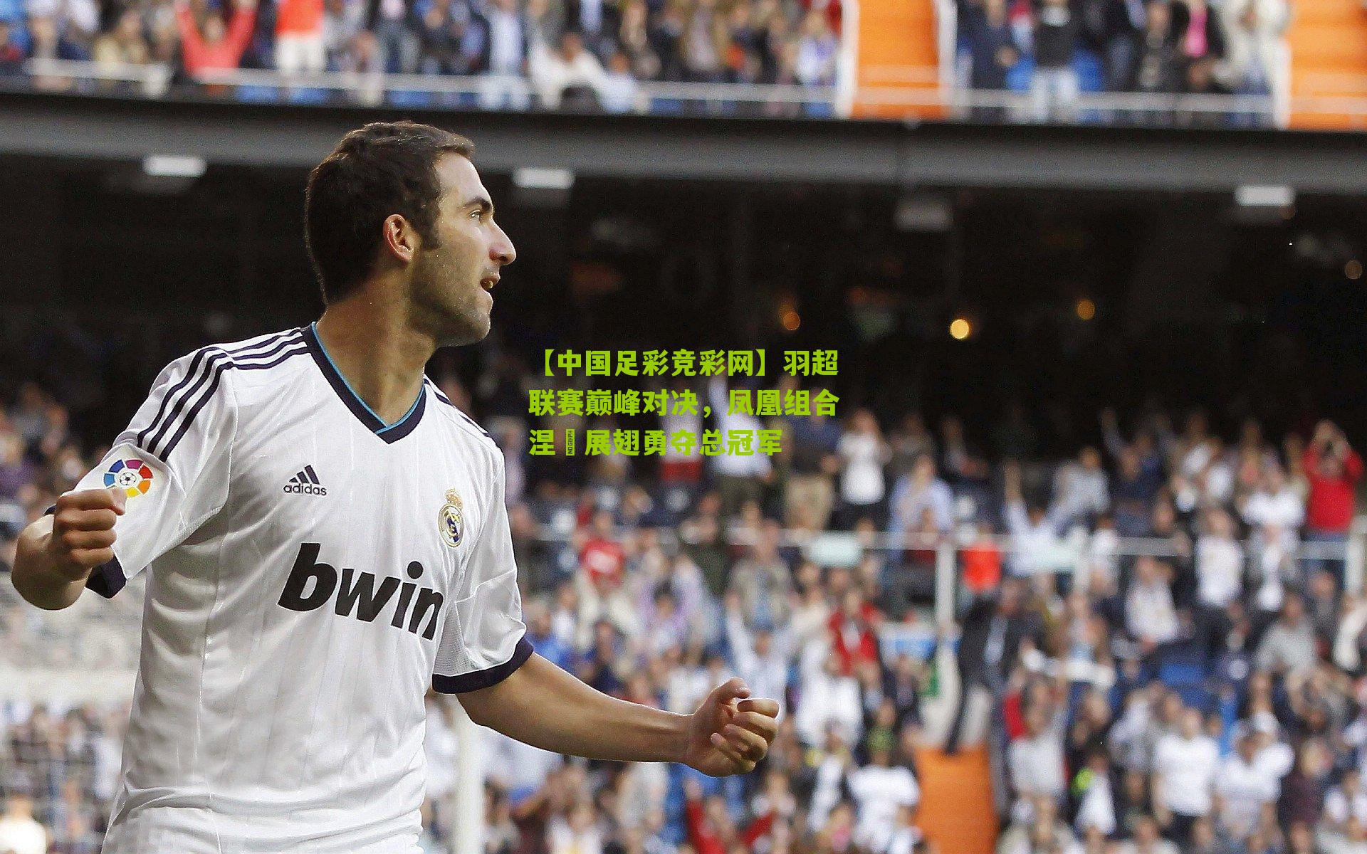 羽超联赛巅峰对决,凤凰组合涅槃展翅勇夺总冠军