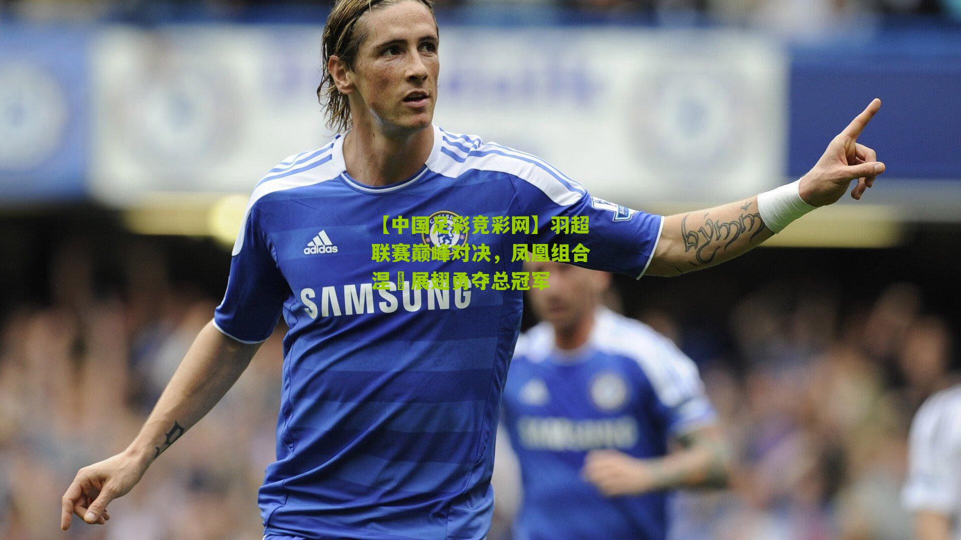 羽超联赛巅峰对决,凤凰组合涅槃展翅勇夺总冠军
